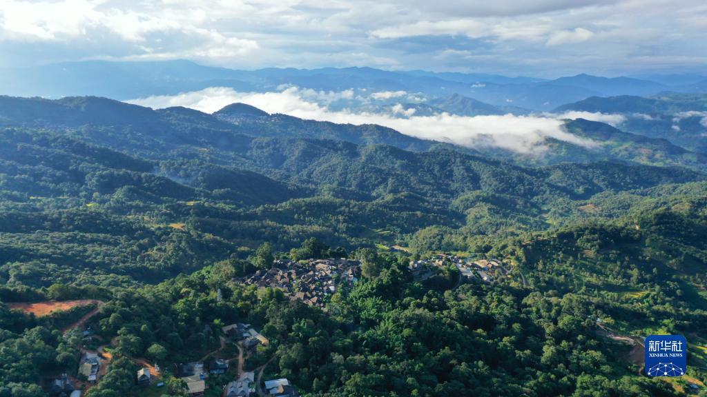 巴厘岛平台登录地址